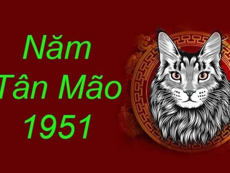 sinh-nam-1951-tuoi-gi