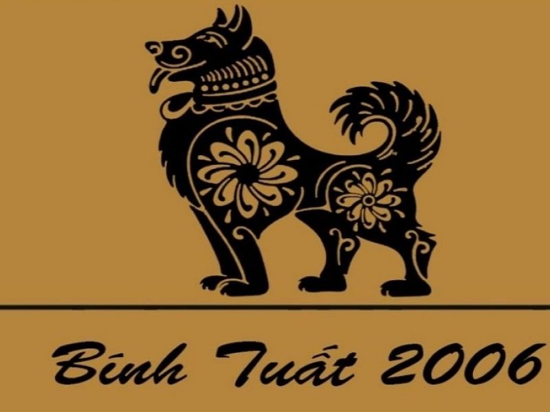 sinh-nam-2006-tuoi-gi